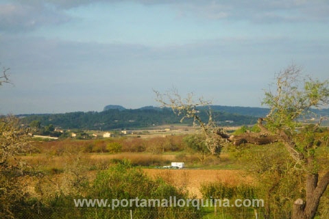 Finca in Montuiri