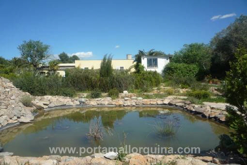 Finca in Llucmajor