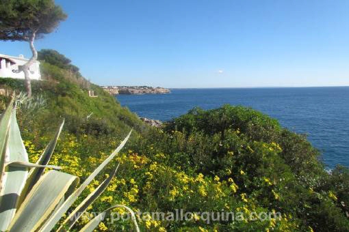 Wohnung in Vallgornera