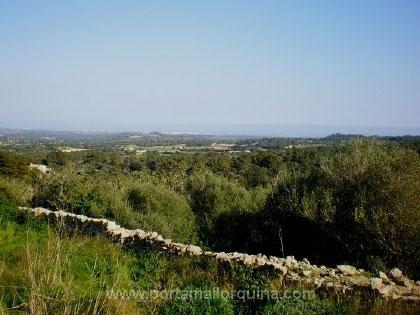 Rundumblick auf die Landschaft.
