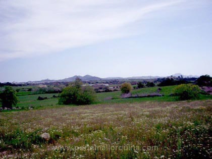 Grundstück in Manacor