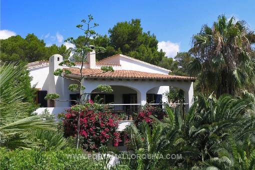 Villa in Camp de Mar