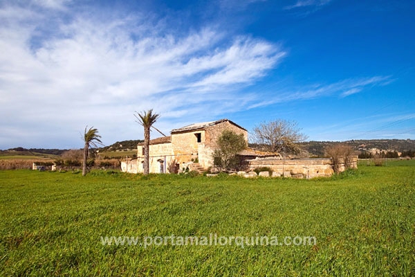 Finca in Petra