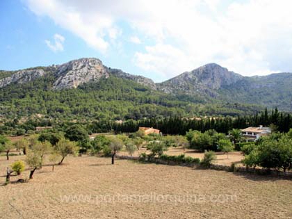 Finca in Pollenca