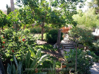 Gepflegter Garten vor dem Haus