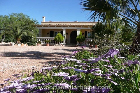 Finca in Llucmajor