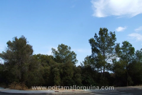 Grundstück in Sol de Mallorca