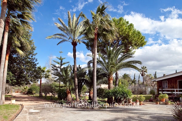 Finca in Palma City