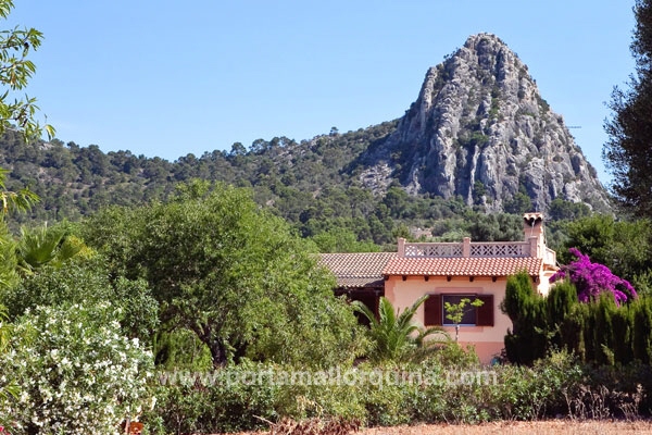 Finca in Llucmajor