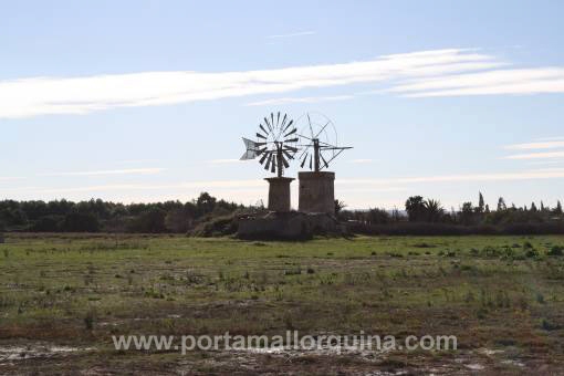 Ansicht der mallorquinischen Mühle