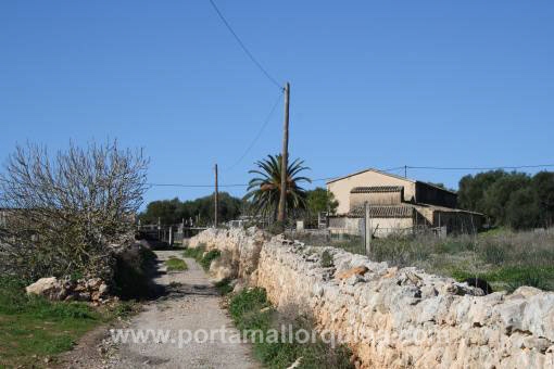 Zufahrt zur Finca