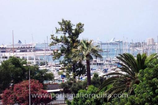 Wohnung in Palma City