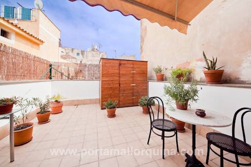 Wohnung in Palma de Mallorca Altstadt