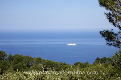  in Valldemossa