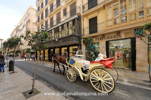 Wohnung in Palma de Mallorca Altstadt