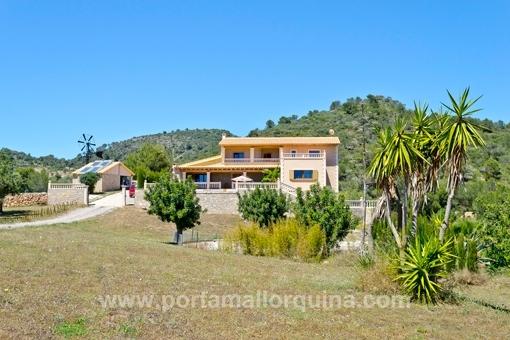 Finca in San Lorenzo