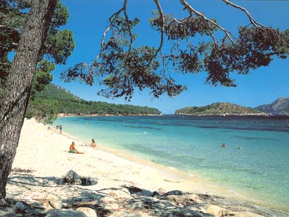 Bahia De Pollensa Hotel Majorca Bahia De Pollensa Hotel Majorca