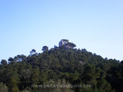 Grundst�ck Cales de Mallorca