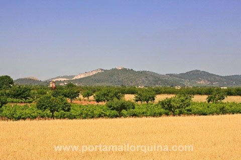 Grundst�ck Porreres