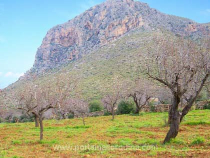 Grundst�ck Colonia de San Pedro