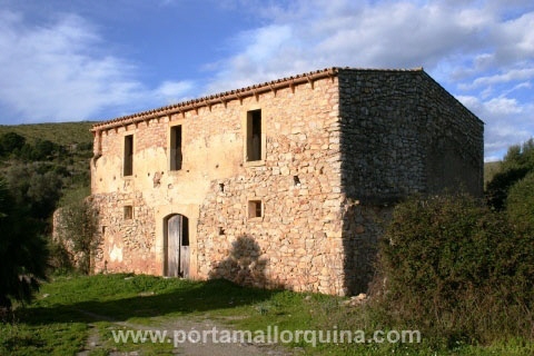 Finca Arta