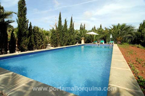 S�dost auf Mallorca