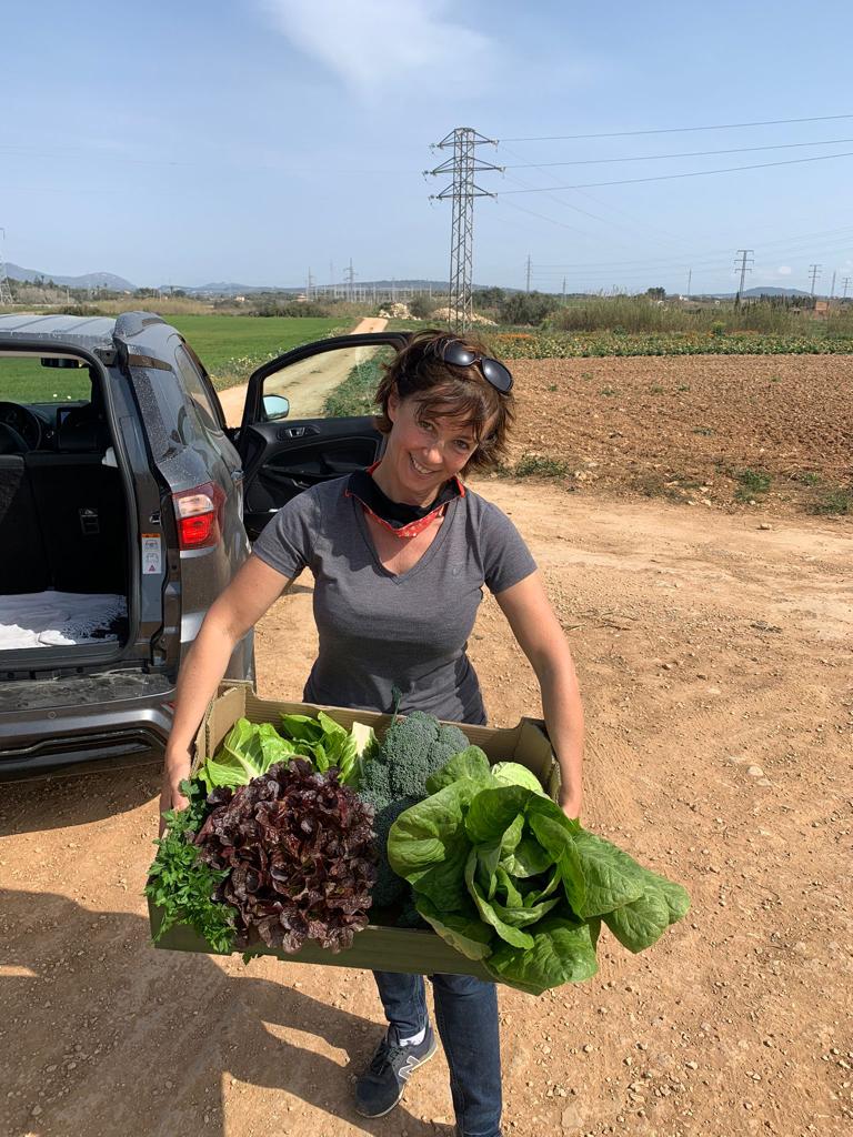 Nicky Neumann erntet fleißig Obst und Gemüse um so die Hilfsorganisationen noch mehr zu unterstützen.