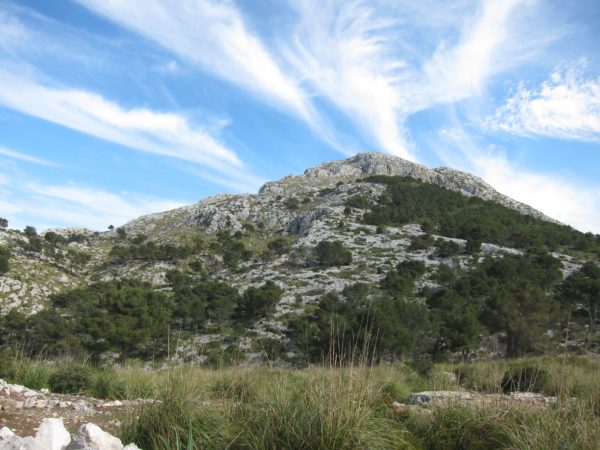 Estellenc - Blick auf Galatzó