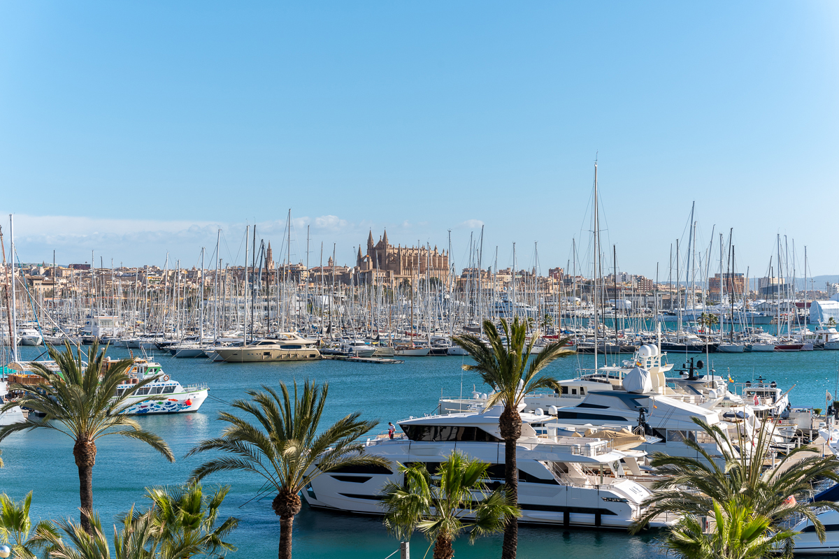 Palma City mit Blick auf den Yachthafen und die Kathedrale.