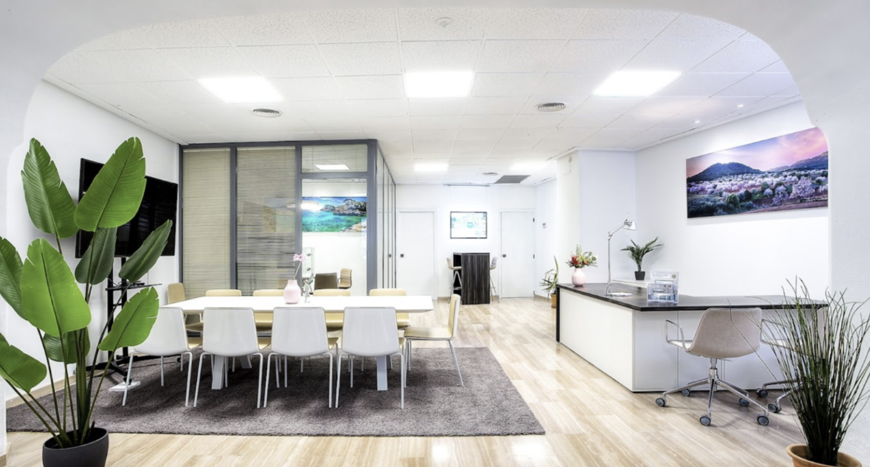 Office Porta Mallorquina Alaro