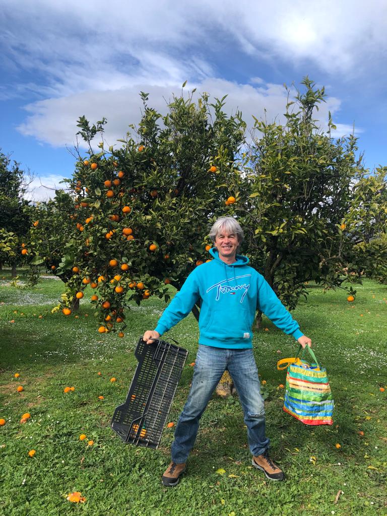 Tom Mardorf beim Ernten für die Santa Ponsa Foodbank