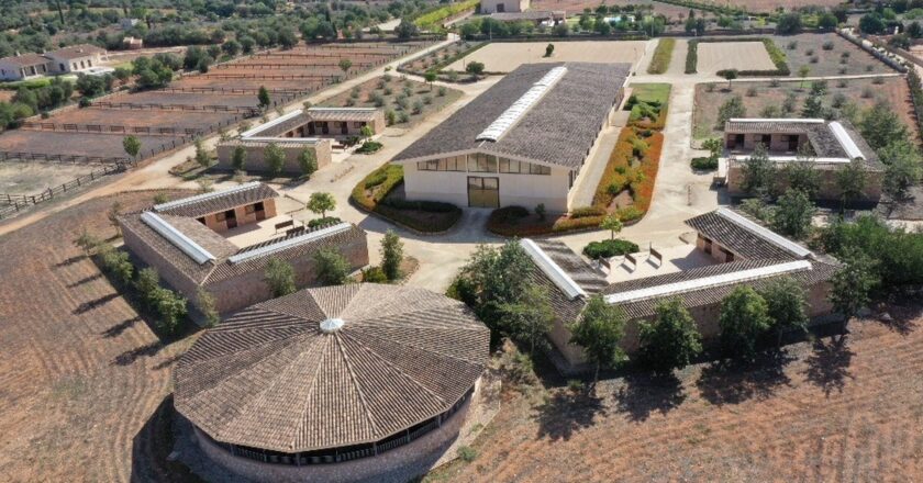 Reitimmobilien auf Mallorca – die perfekte Insel für Pferdefreunde