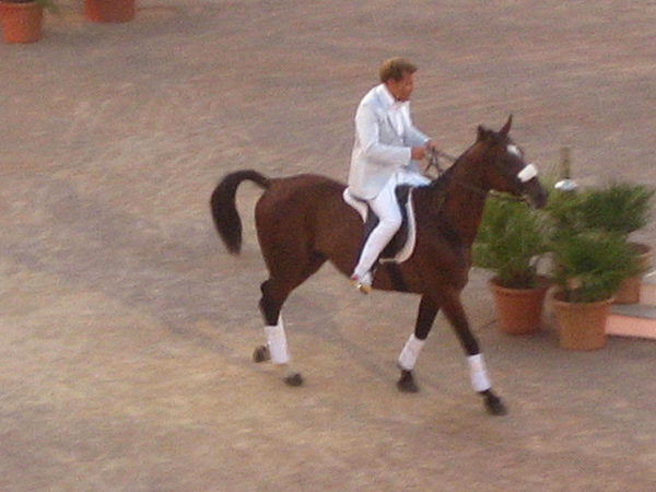 Dieter Bohlen auf Pferd bei Wetten, dass auf Mallorca