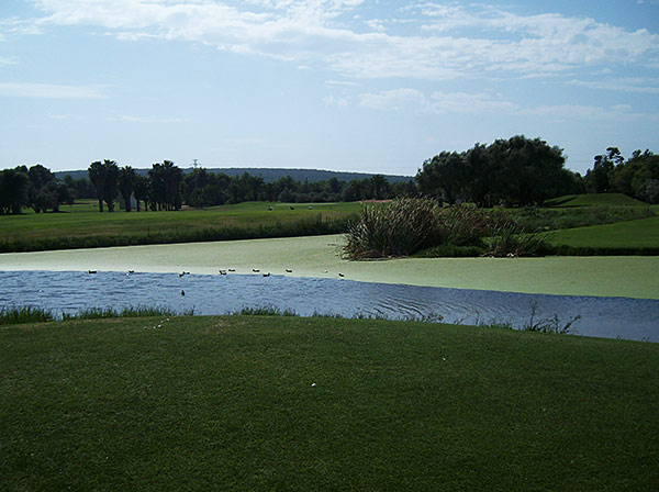 Golfplatz Poniente hat viele Wasserhindernisse