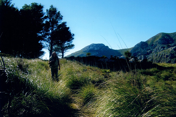 Wandern auf dem Galatzò auf Mallorca