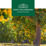 Mallorquinische Orangen, ein Stück Sonne zum Pflücken