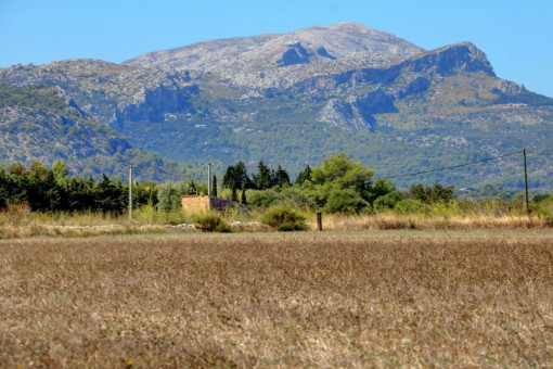 Baugrundstück zum Verkauf in Pollensa zum Bau einer Finca mit Pool