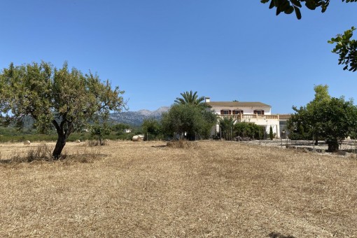 Rustikale, mallorquinische Finca mit Ferienvermietlizenz in der Nähe von Inca