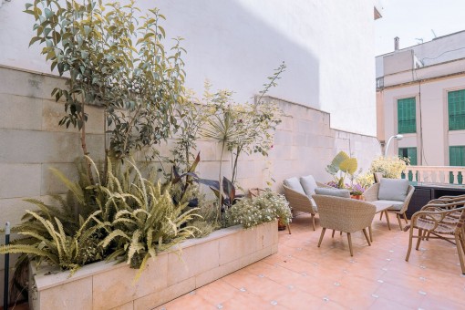 Geräumige Wohnung mit viel Potenzial und einer bezaubernden Terrasse in Palma