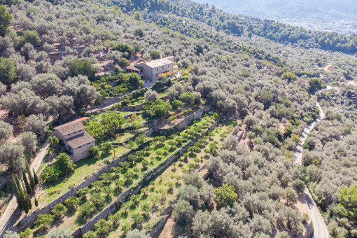 Außergewöhnliches Finca Anwesen mit eigenem Weinberg und schöner Aussicht bei Sóller