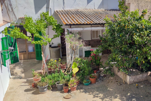 Terrasse / Patio