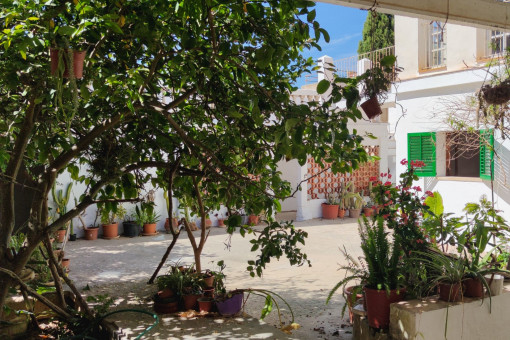 Terrasse / Patio