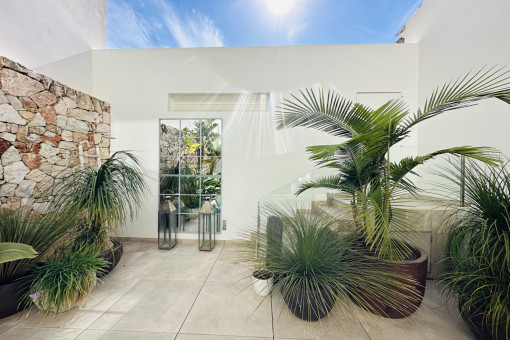 Mediterranes Ambiente