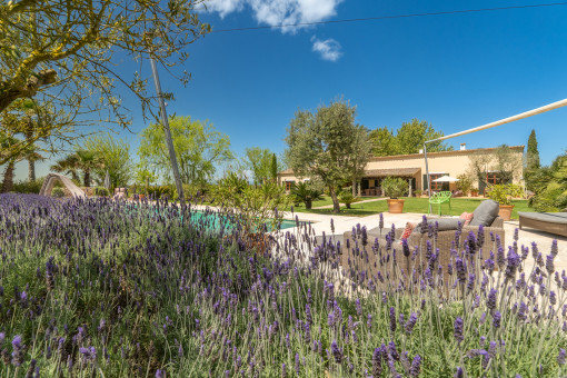 Mediterraner Garten 