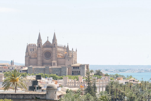 Atemberaubender Blick auf die Kathedrale von Palma