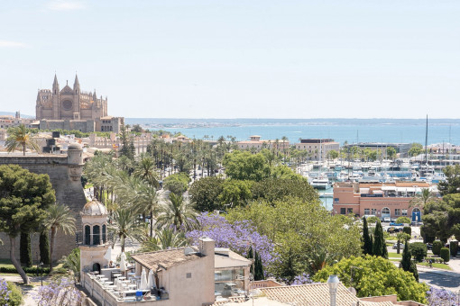 Über den Dächern Palmas – Hafen, Kathedrale und Meer im Panorama