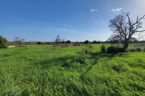 Sofortiger Baubeginn möglich