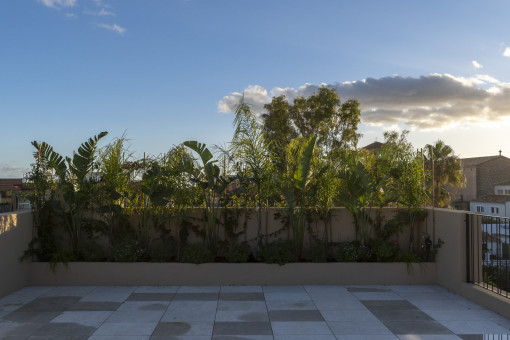 Private Dachterrasse