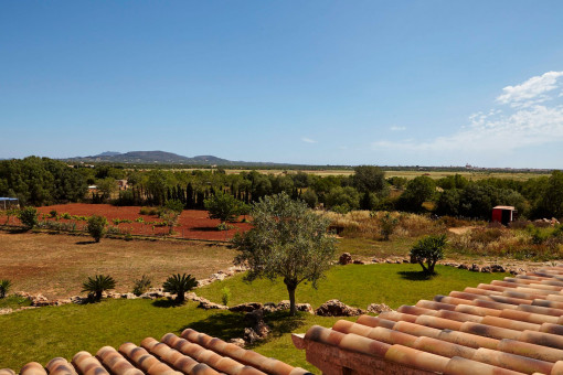 Ausblick vom Obergeschoss