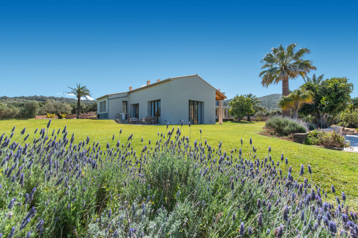 Mediterraner Garten mit absoluter Privatsphäre